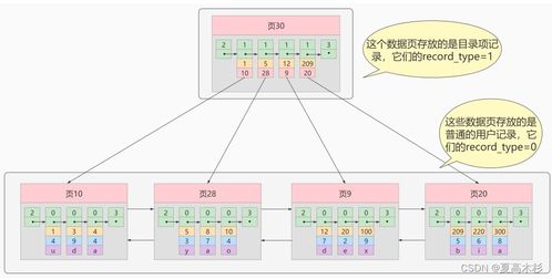 MySQL高級(jí)篇 索引數(shù)據(jù)結(jié)構(gòu)與InnoDB存儲(chǔ)結(jié)構(gòu)深度解析